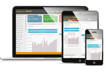 Miniatura Siigo Kame ERP