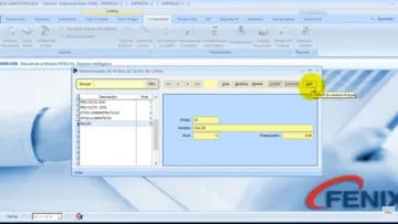 Miniatura Fenix Software Contable