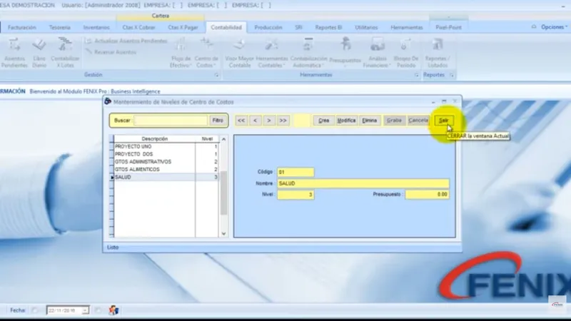 Fenix Software Contable
