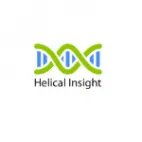 Helical Insight logotipo