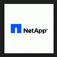 NetApp Backup Backup Latam