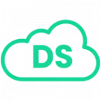 Delysoft logotipo
