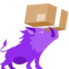 Copernico WMS México