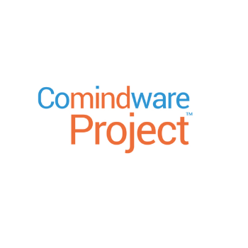 Comindware Project