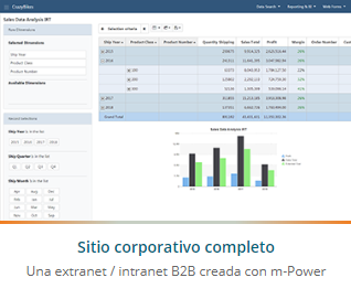 The m-Power Development Platform
