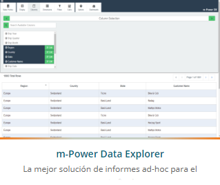 The m-Power Development Platform