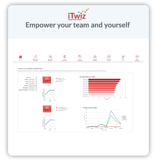 iTwiz Soporte TI