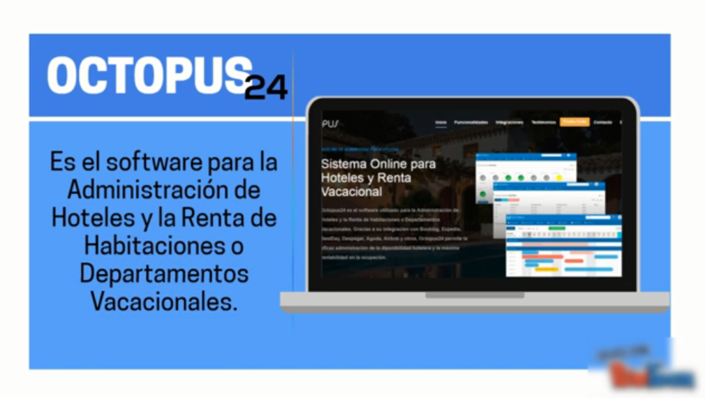 Octopus24