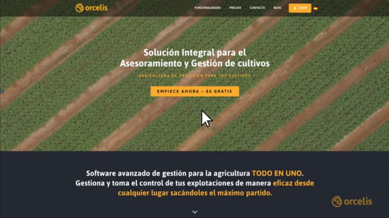 Orcelis