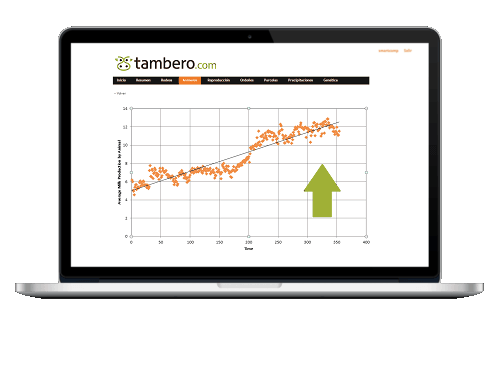 Tambero.com