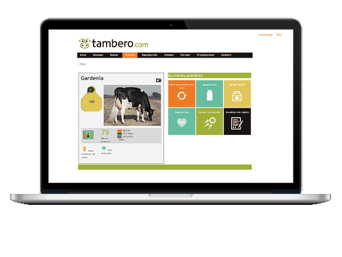 Tambero.com