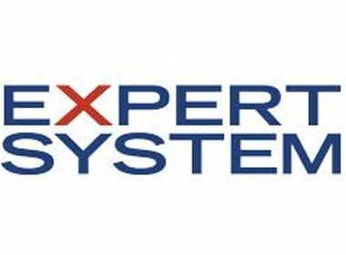 Expert System Empresarial