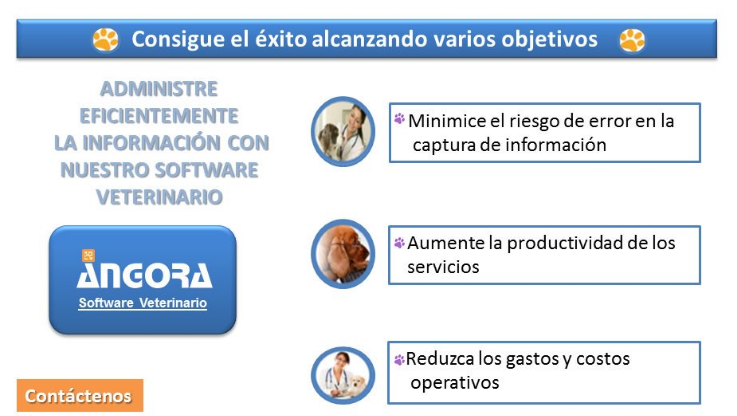 Angora Gestión Veterinaria