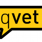 QVET Software Veterinario 1
