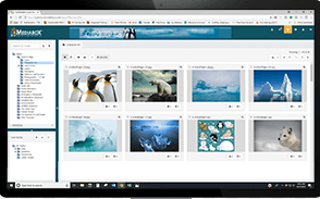 Mediabox-DAM Software