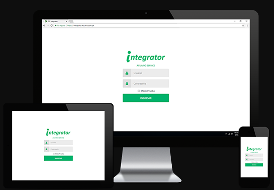 ERP Integrator