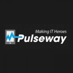 Pulseway 1